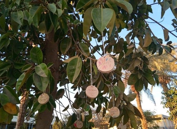 L'arbre plurilingue des CM2D de Maadi