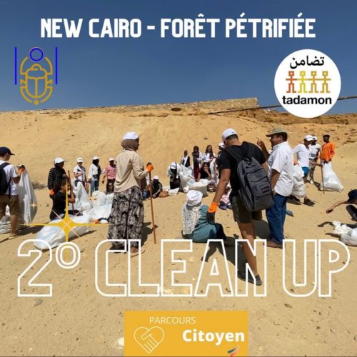 Clean-up Forêt pétrifiée - Organisation 101