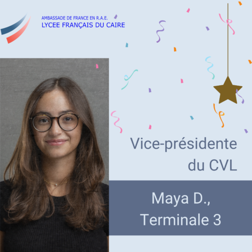Election - Vice-Présidence au Conseil de Vie Lycéenne - Site de Mearag