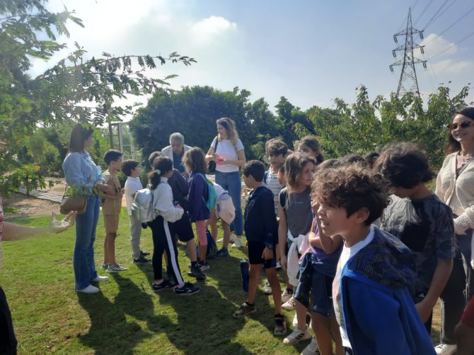 Découverte des légumes du potager - Site de Zamalek