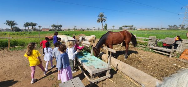 Sortie à Fagnoon – GSB Maadi