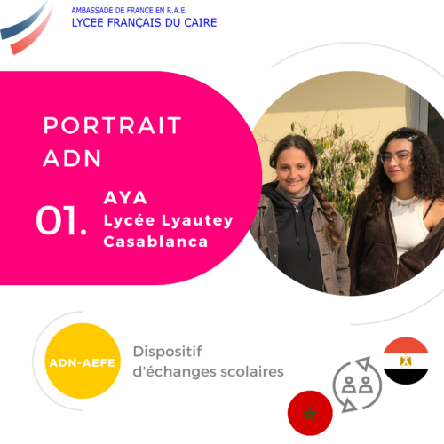 Portrait ADN – Portait n.1 – Aya