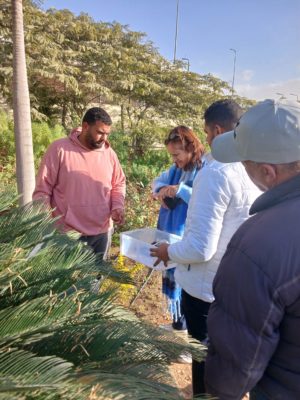 Début de la lutte biologique au jardin pédagogique – Site de Mearag