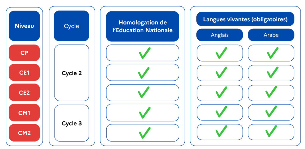 Enseignements - Primaire LFC