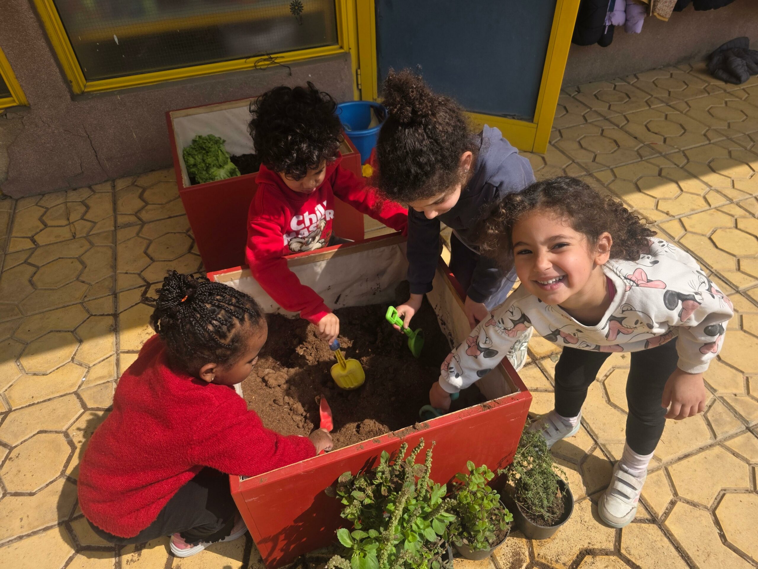 Plantes et jardin en PS - Site de Maadi
